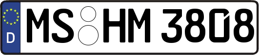 MS-HM3808