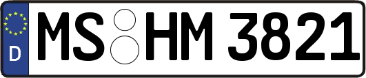 MS-HM3821