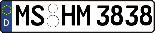MS-HM3838