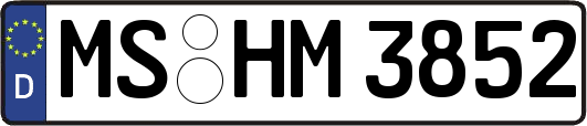 MS-HM3852