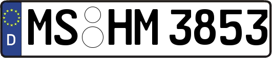 MS-HM3853