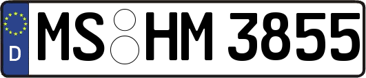MS-HM3855