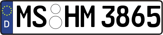 MS-HM3865