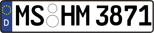 MS-HM3871