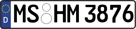 MS-HM3876