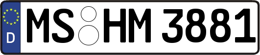 MS-HM3881