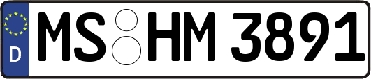 MS-HM3891