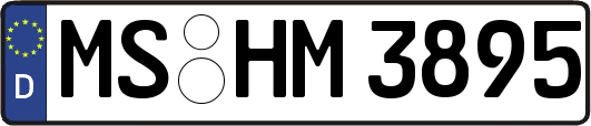 MS-HM3895