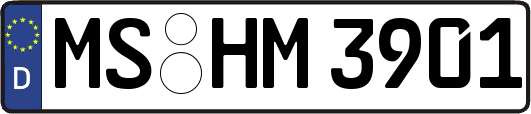 MS-HM3901