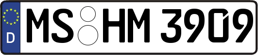 MS-HM3909