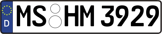 MS-HM3929