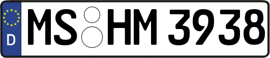 MS-HM3938