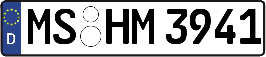 MS-HM3941
