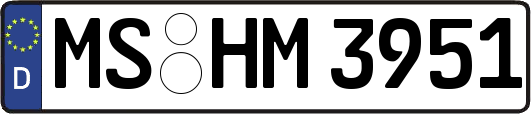 MS-HM3951