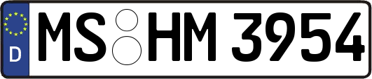 MS-HM3954