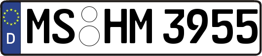 MS-HM3955