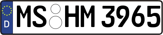 MS-HM3965