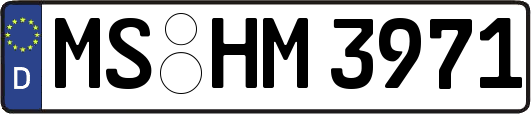 MS-HM3971