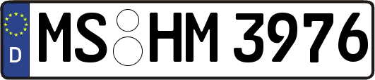 MS-HM3976