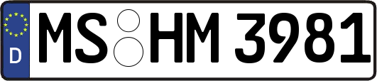 MS-HM3981