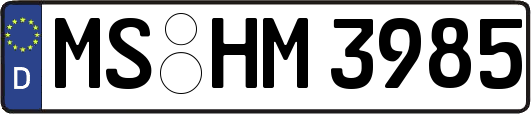 MS-HM3985