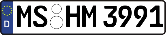 MS-HM3991