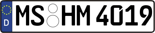MS-HM4019
