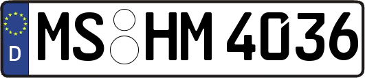 MS-HM4036