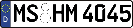 MS-HM4045