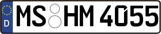 MS-HM4055