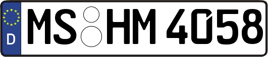 MS-HM4058