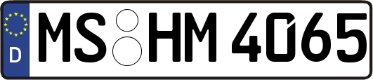 MS-HM4065