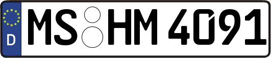 MS-HM4091