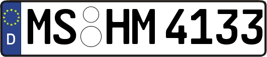 MS-HM4133