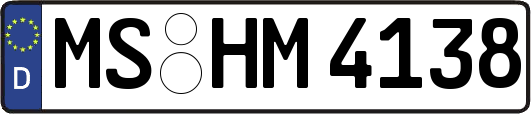 MS-HM4138