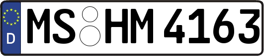 MS-HM4163