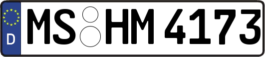 MS-HM4173