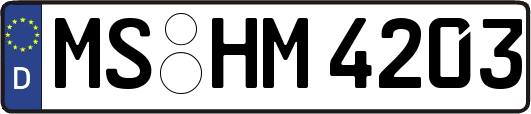 MS-HM4203