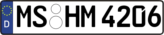 MS-HM4206