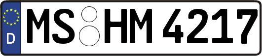 MS-HM4217