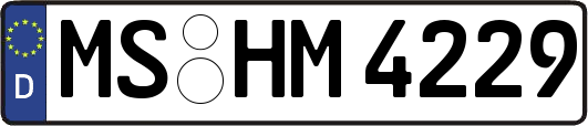 MS-HM4229