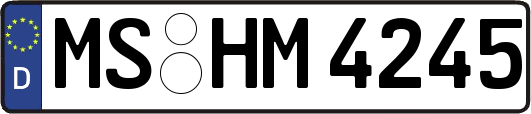MS-HM4245