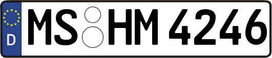 MS-HM4246