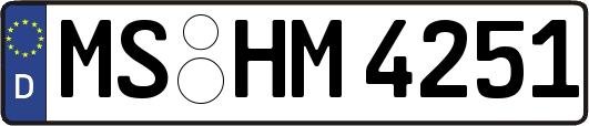 MS-HM4251