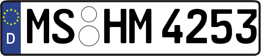 MS-HM4253
