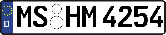 MS-HM4254