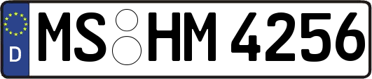 MS-HM4256