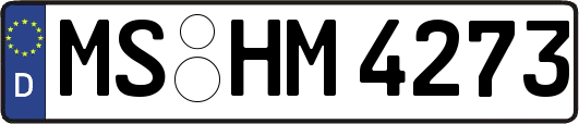 MS-HM4273