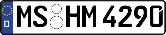 MS-HM4290