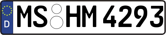 MS-HM4293